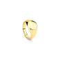 Men's Ring Radiant RH000131-26 26